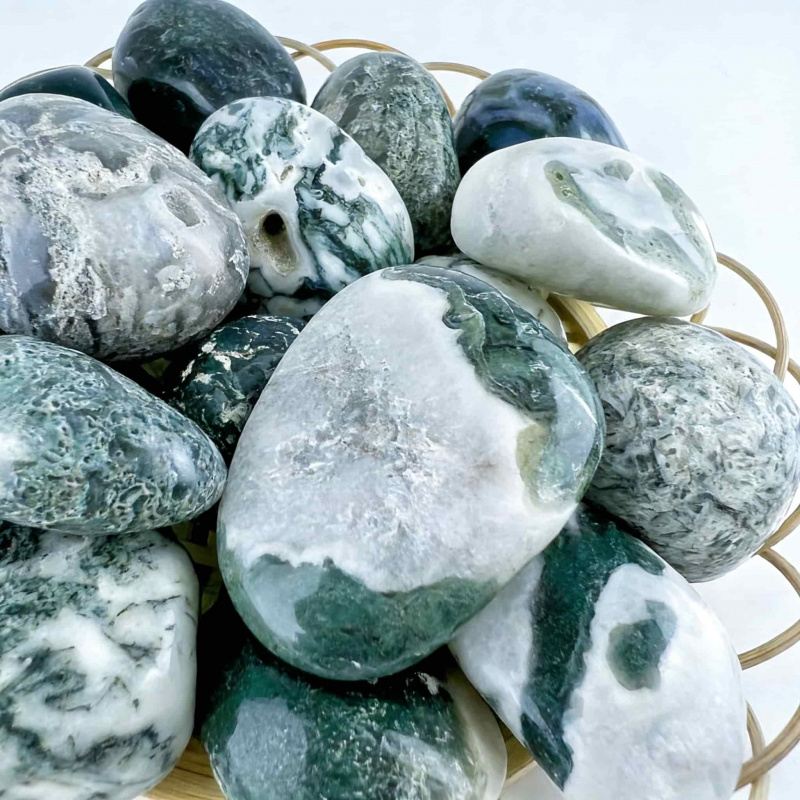 Natural Moss Agate Crushed Sto - Echeveria Succulent avaliação e preço