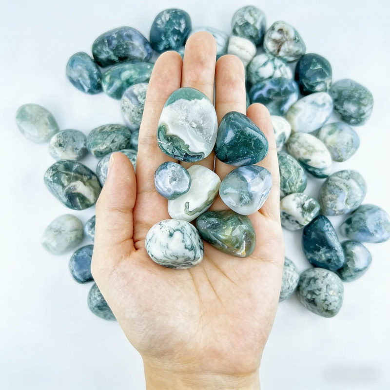 Natural Moss Agate Crushed Sto - Echeveria Succulent avaliação e preço