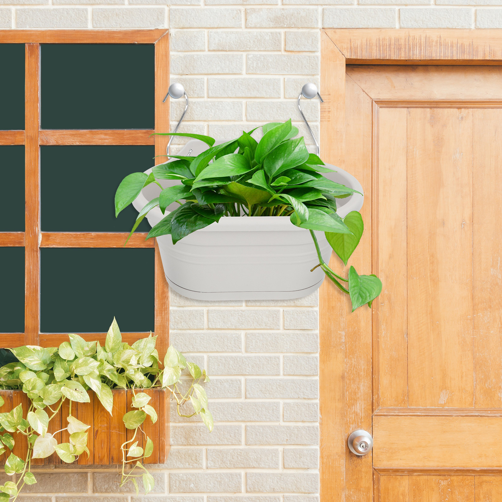 1Set Wall Hanging Flower Pot S - Spider Plant Hanging avaliação e preço