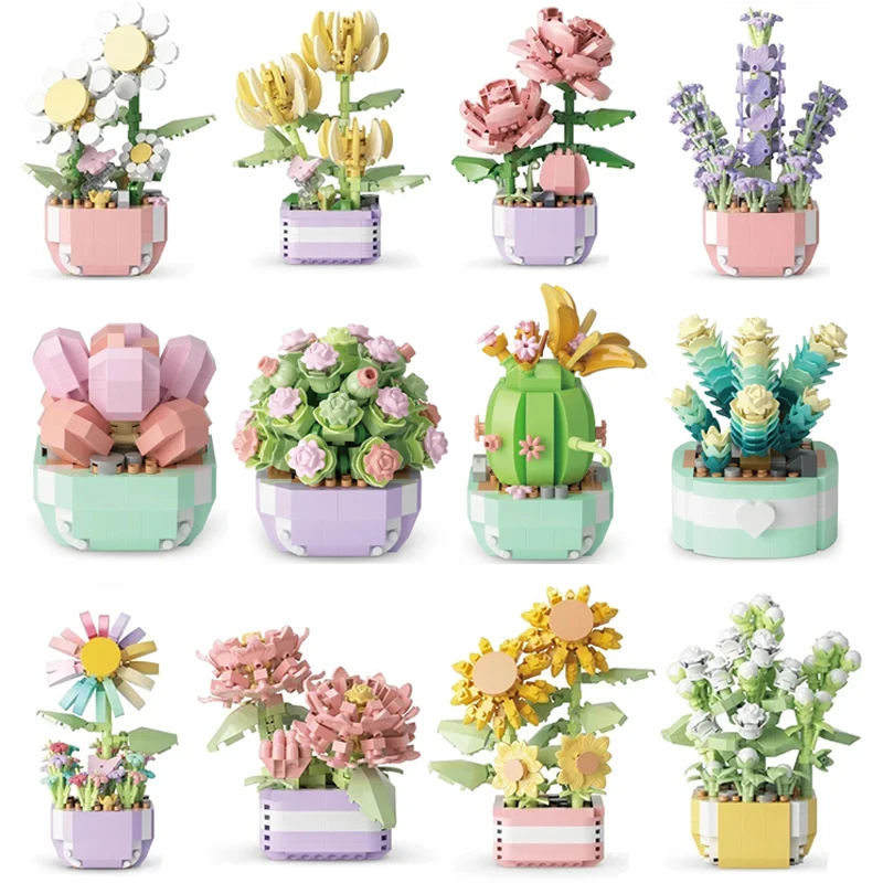 Flower Succulents Building Blo - Echeveria Succulent avaliação e preço