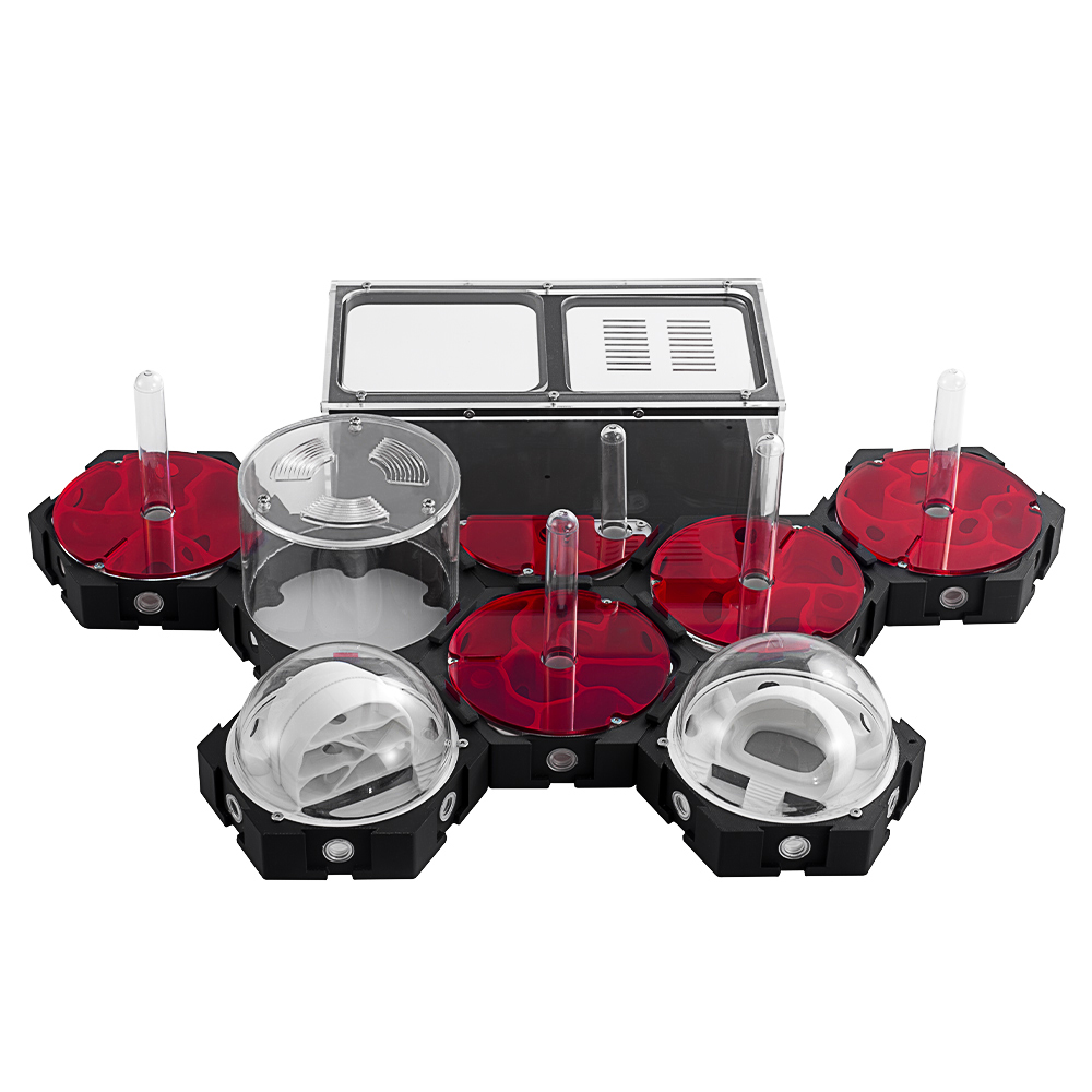 3D Printing Ant Farm Infinitel - Begonia Rex avaliação e preço