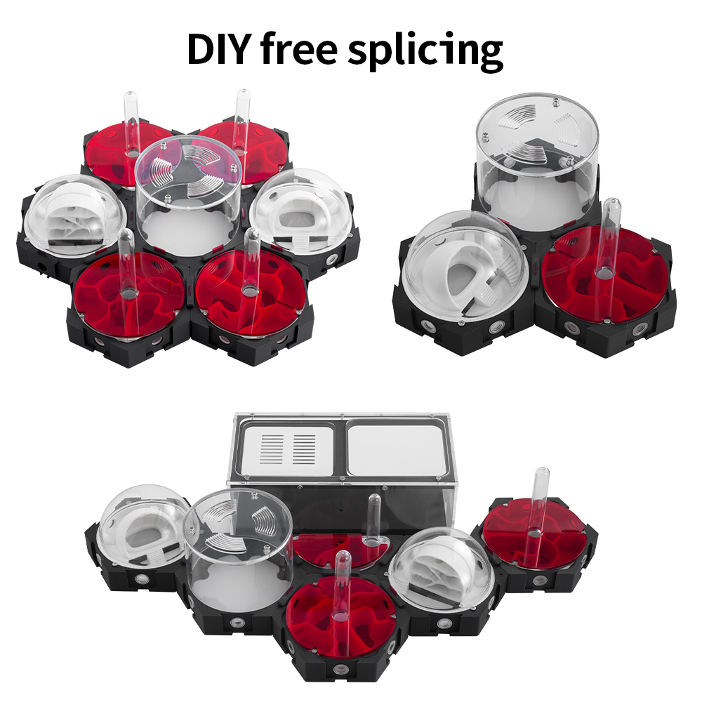 3D Printing Ant Farm Infinitel - Begonia Rex avaliação e preço
