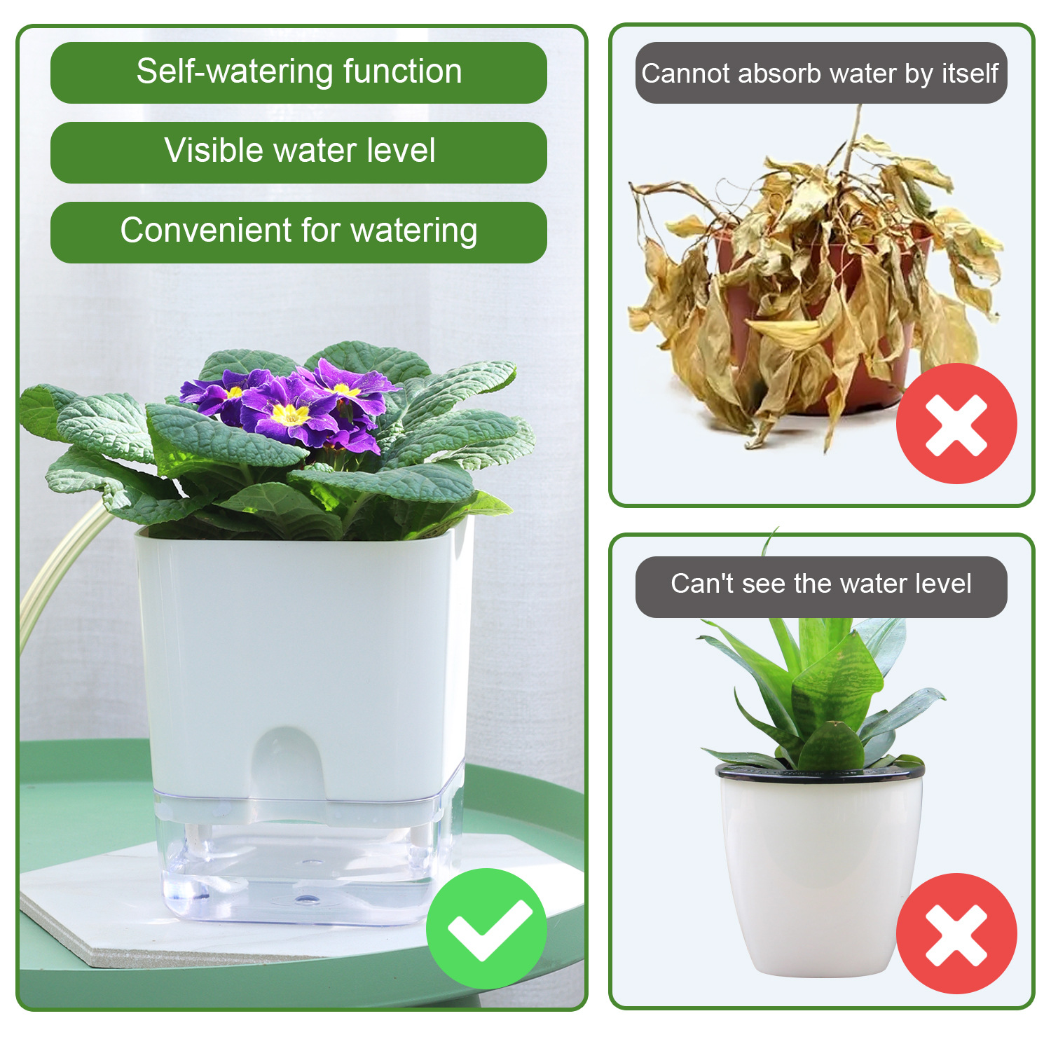 Self Watering Pot Double-deck  - Pilea Peperomioides avaliação e preço