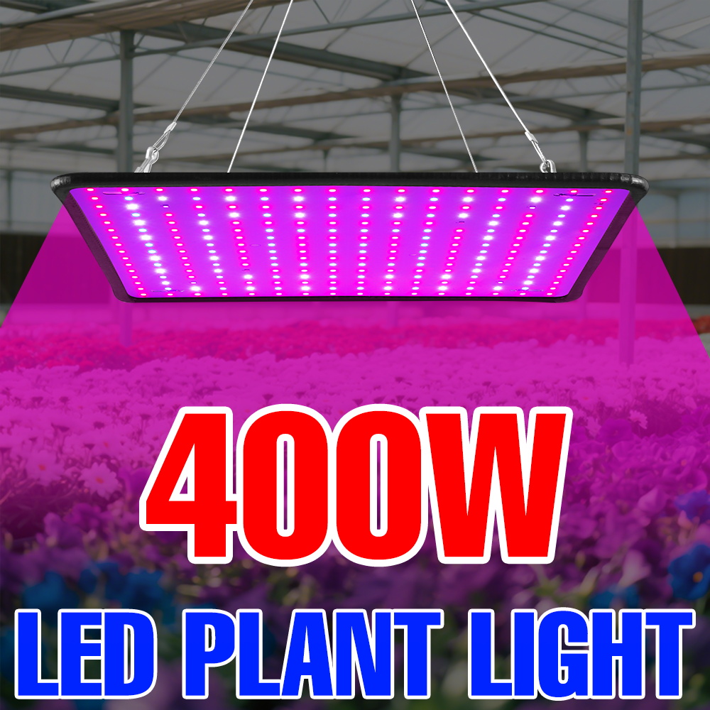 400W LED Grow Light Full Spect - Echeveria Succulent avaliação e preço