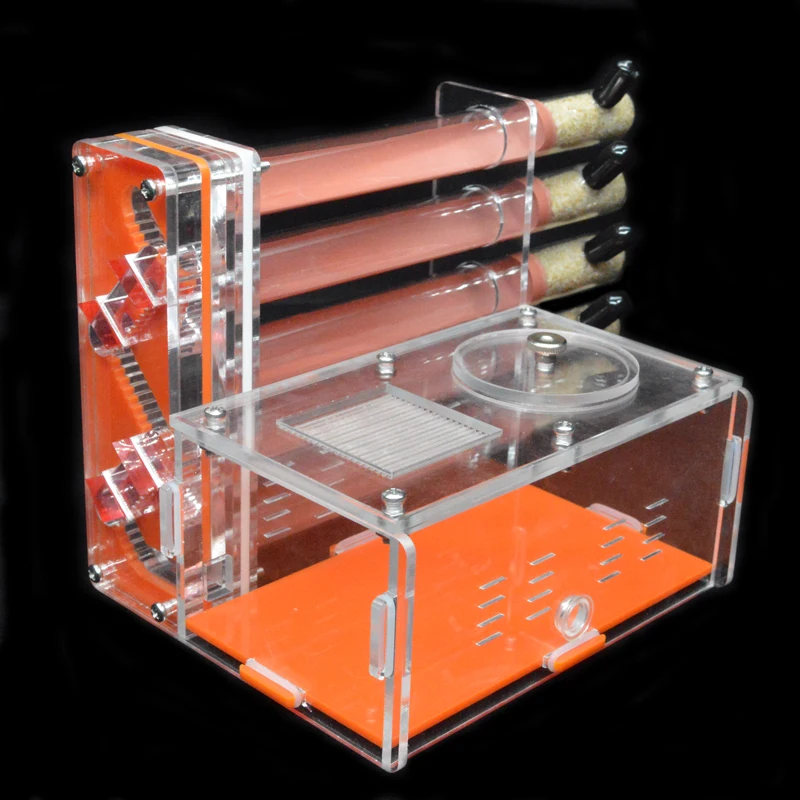 DIY Acrylic Ant Farm 5 pcs 18- - Begonia Rex avaliação e preço