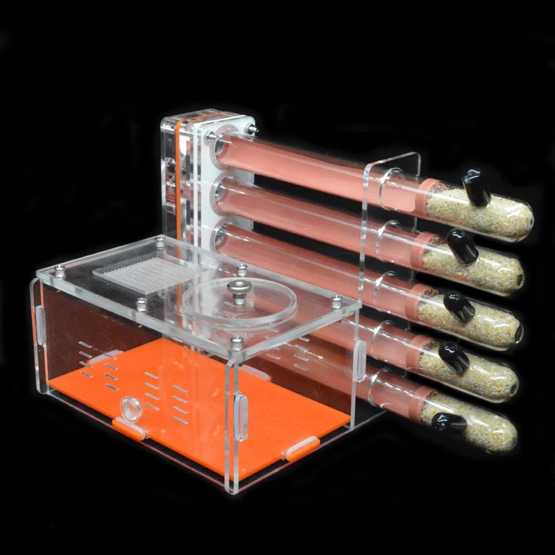 DIY Acrylic Ant Farm 5 pcs 18- - Begonia Rex avaliação e preço