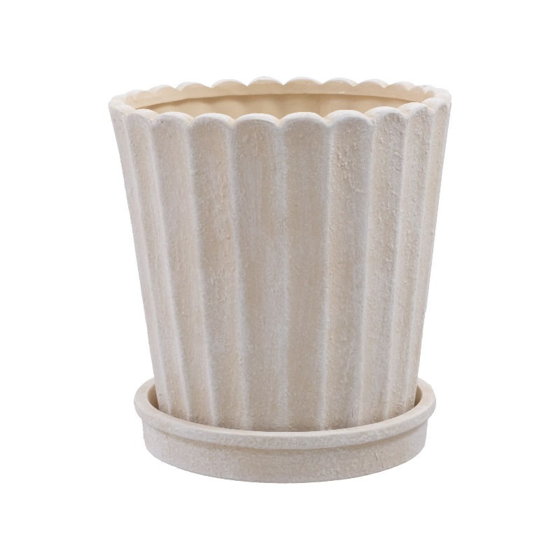 8 Inch Shell Planter Cream Cer - Aloe Vera Pot avaliação e preço