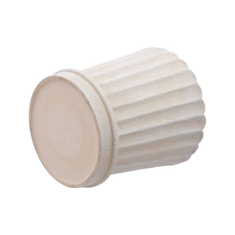 8 Inch Shell Planter Cream Cer - Aloe Vera Pot avaliação e preço