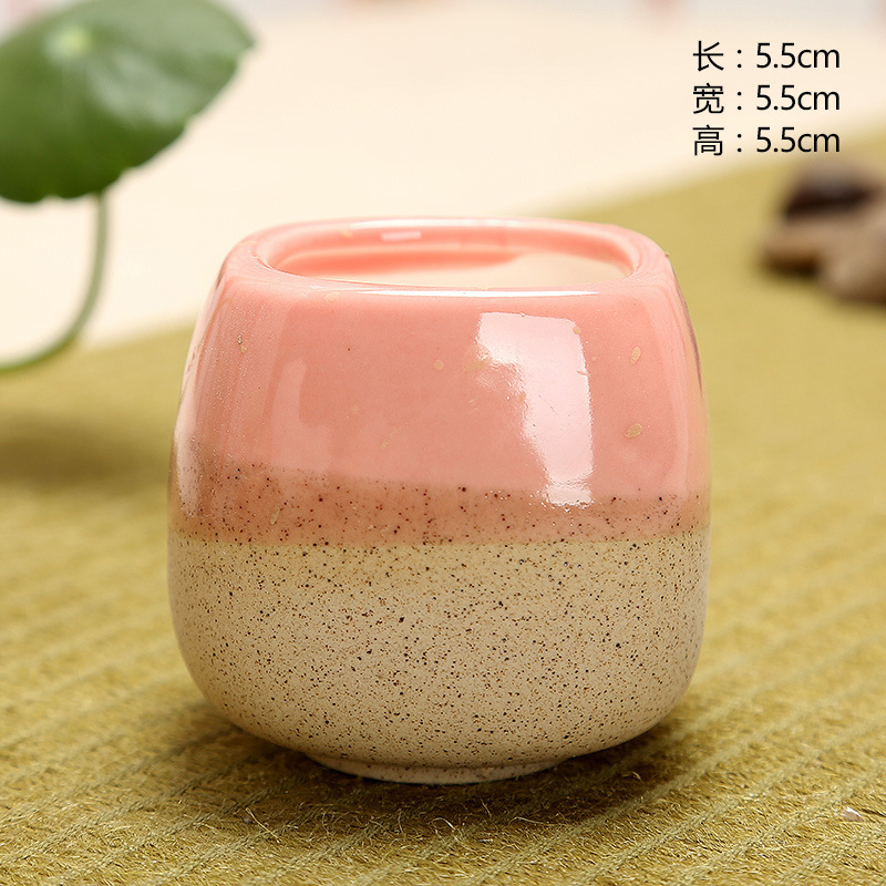 Mini Jelly Shape Cartoon Ceram - Echeveria Succulent avaliação e preço