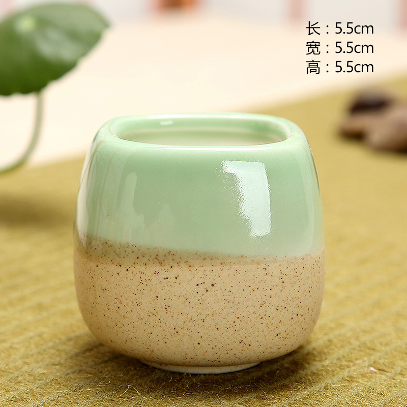 Mini Jelly Shape Cartoon Ceram - Echeveria Succulent avaliação e preço