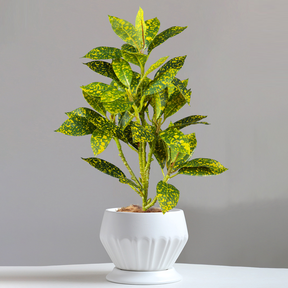 24-41cm Artificial Ficus Tree  - Ficus Lyrata Tree avaliação e preço