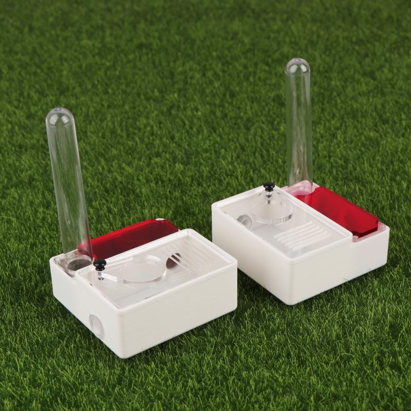【Peace】3D Printed Ant Farm Que - Begonia Rex avaliação e preço