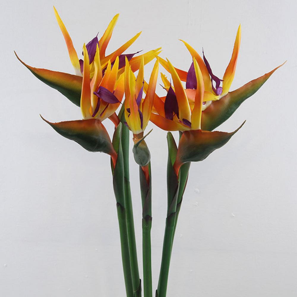 1pc 80cm Flower Bird Of Paradi - Bird Paradise Strelitzia avaliação e preço