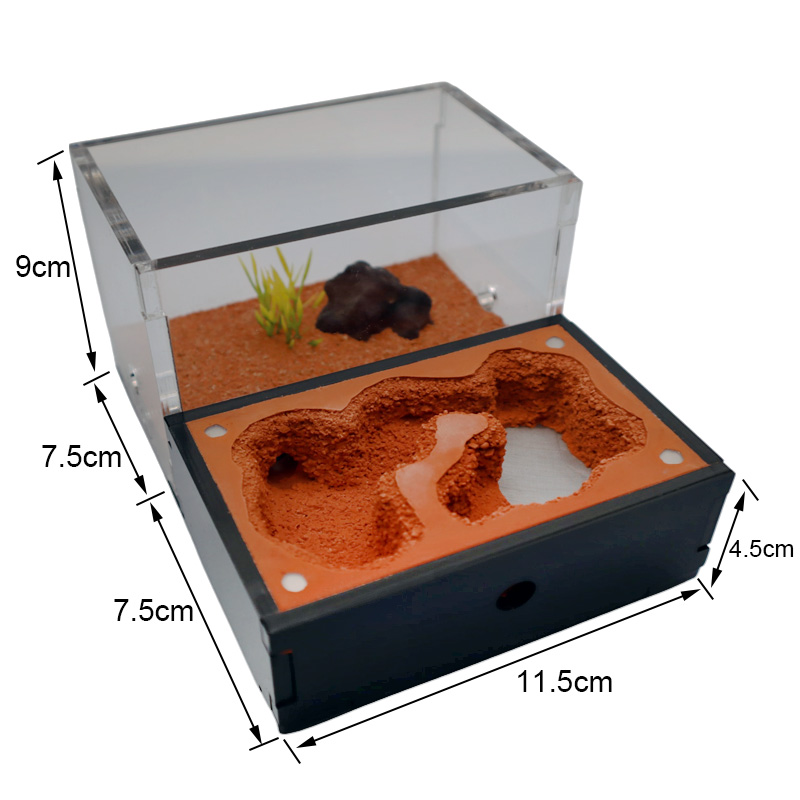 Yellow Soil Ant Farm with Exte - Begonia Rex avaliação e preço