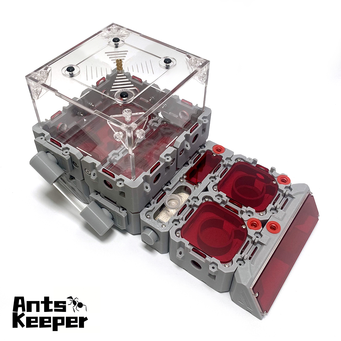 【Lego】Expandable Modular Formi - Begonia Rex avaliação e preço