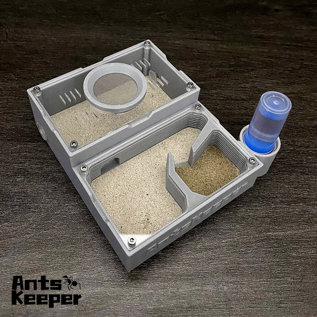 【One Section】Flat Ant Farm for - Begonia Rex avaliação e preço