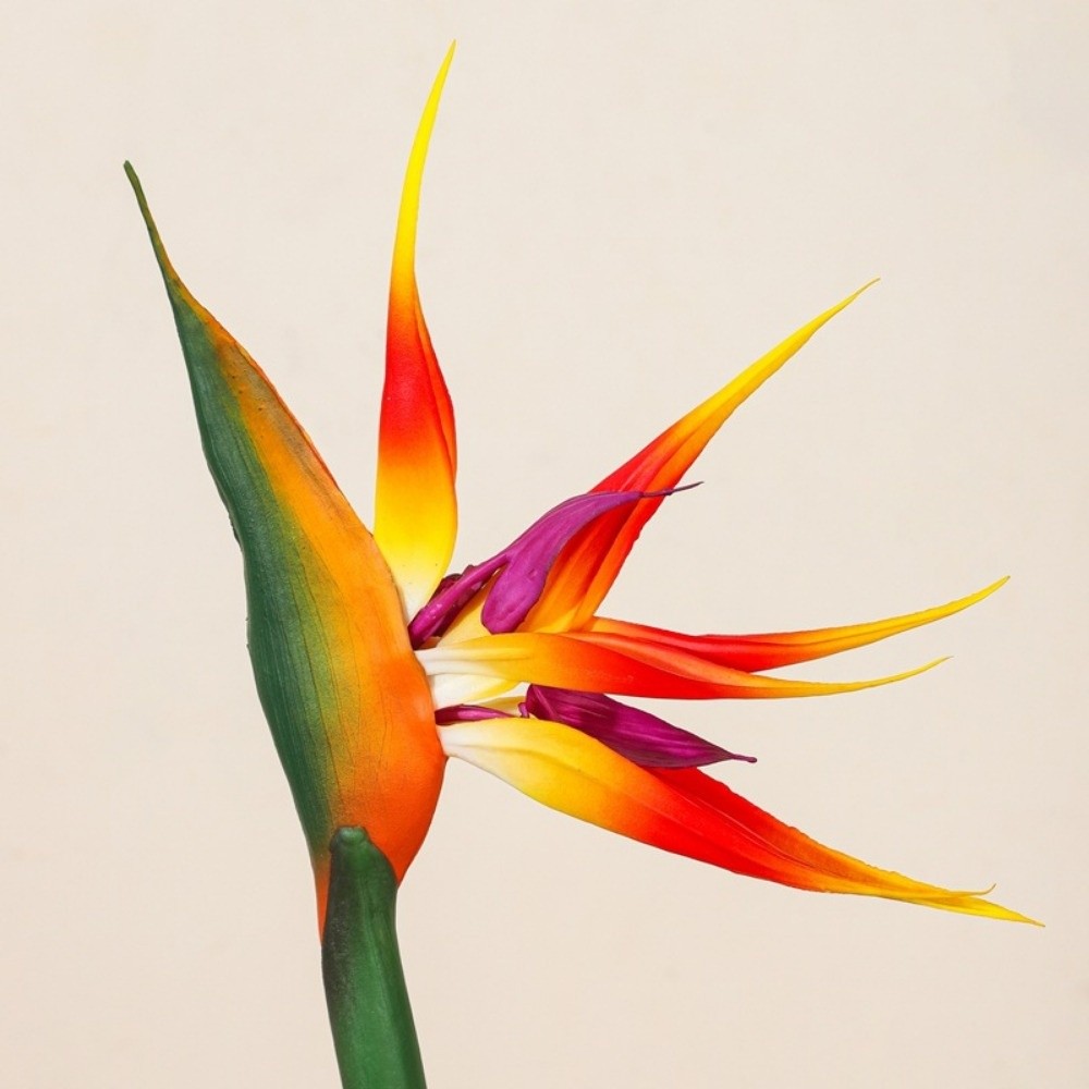 New Long Stem Artificial Bird  - Bird Paradise Strelitzia avaliação e preço