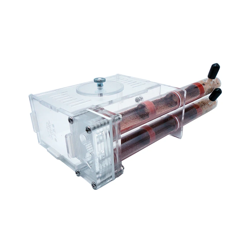 DIY Ant Farm 2 pcs 18-180mm Gy - Begonia Rex avaliação e preço