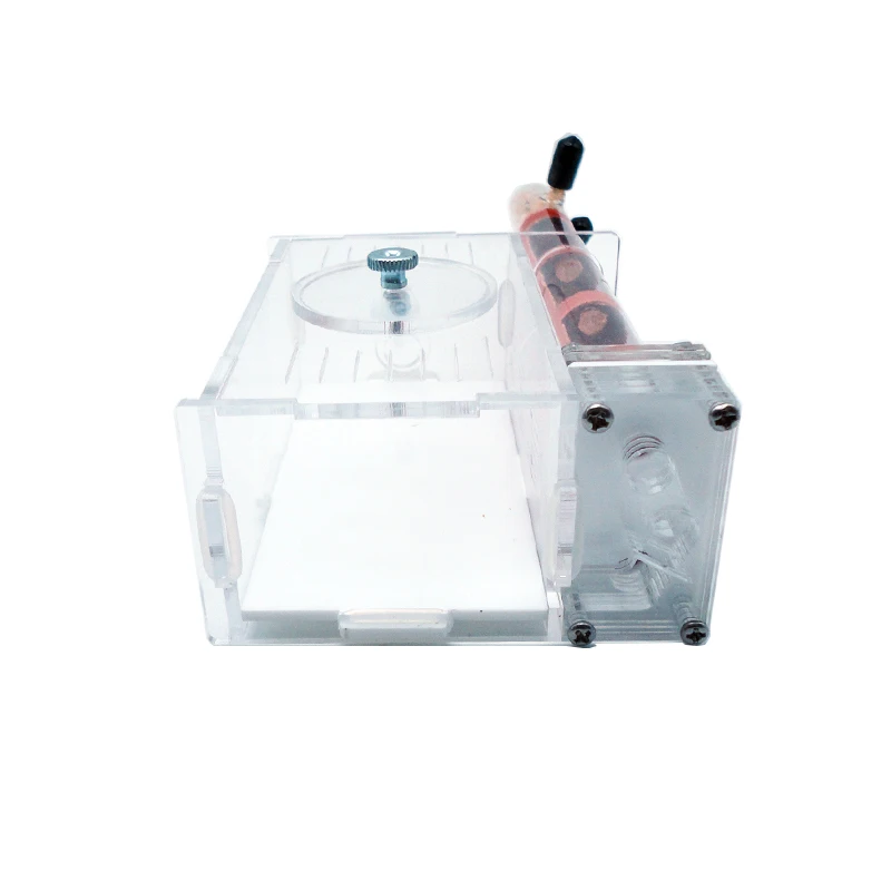 DIY Ant Farm 2 pcs 18-180mm Gy - Begonia Rex avaliação e preço