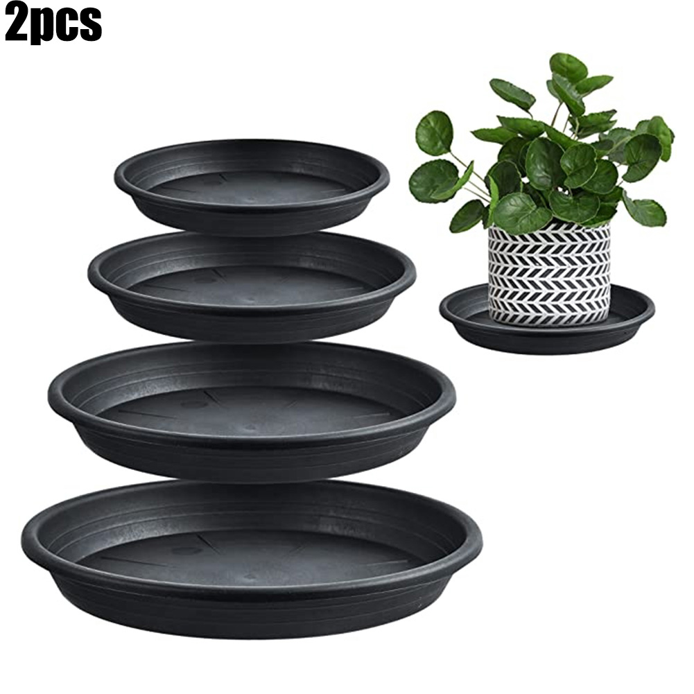2pcs Plant Trays Round Succule - Echeveria Succulent avaliação e preço