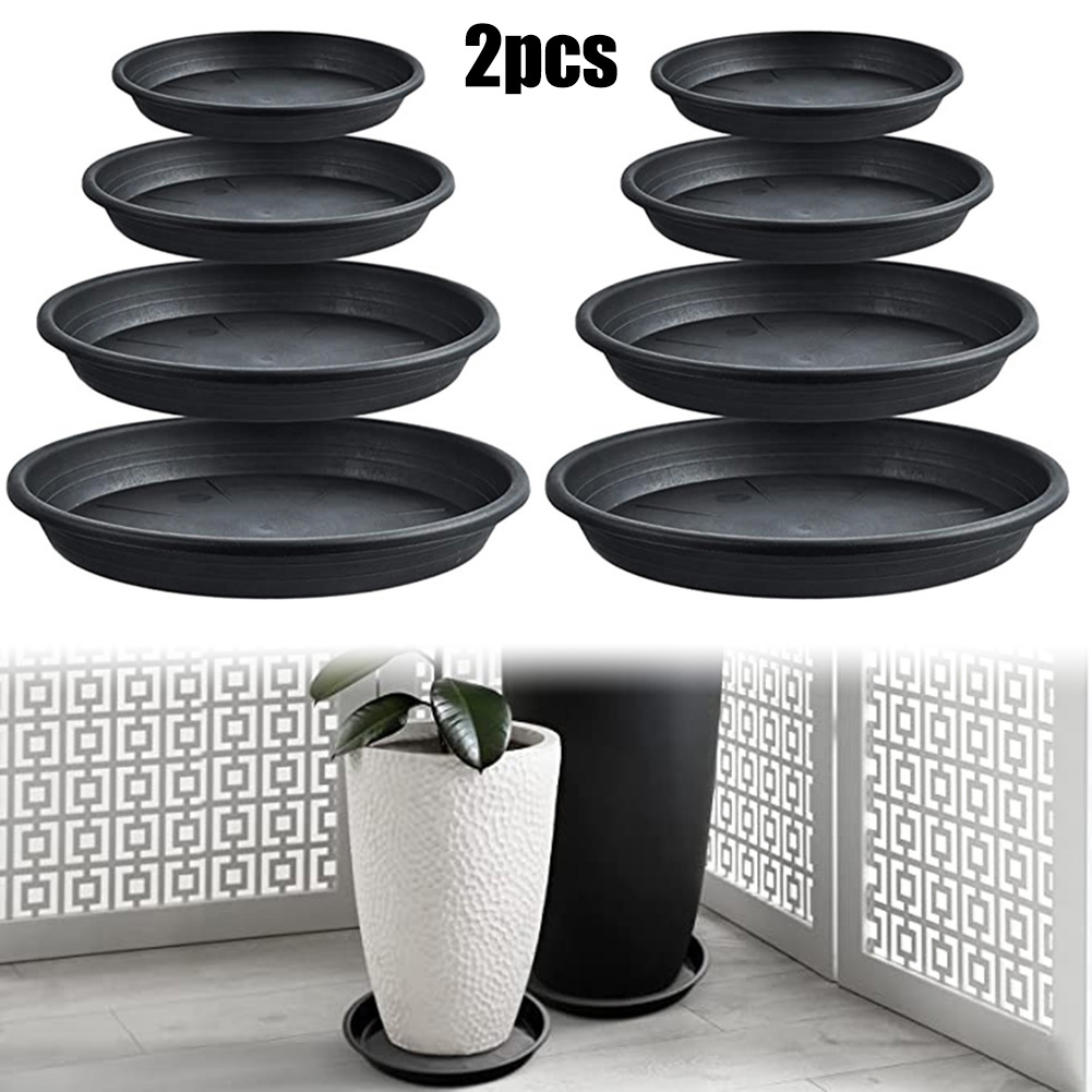 2pcs Plant Trays Round Succule - Echeveria Succulent avaliação e preço