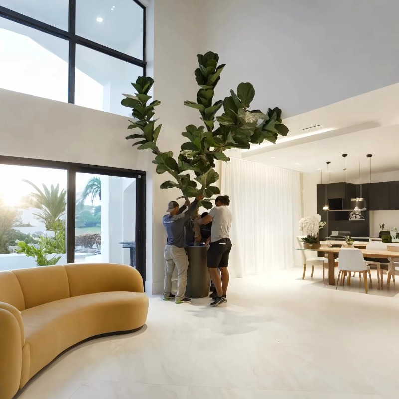 Artificial Plants Indoor Potte - Ficus Lyrata Tree avaliação e preço