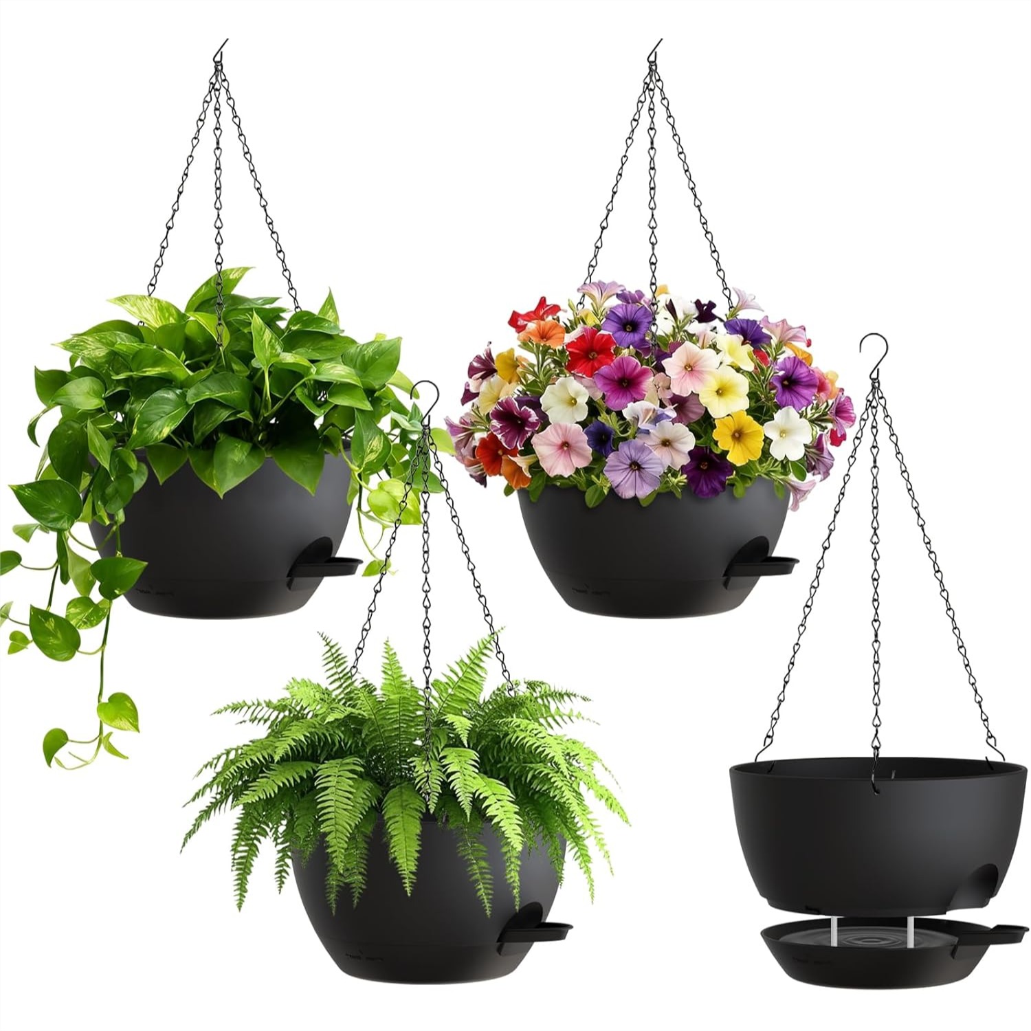 8 Inch Self Watering Hanging P - Spider Plant Hanging avaliação e preço