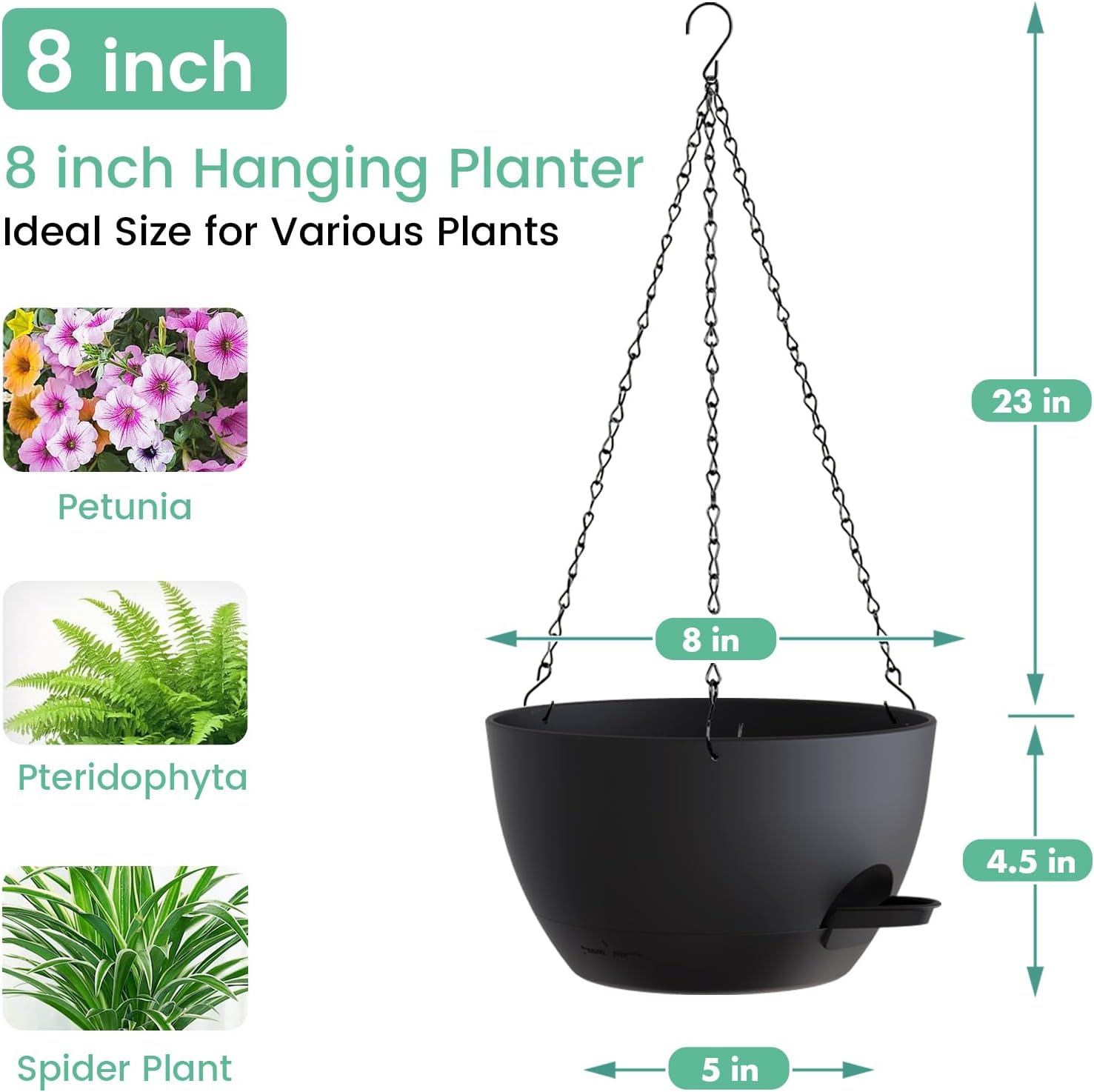 8 Inch Self Watering Hanging P - Spider Plant Hanging avaliação e preço