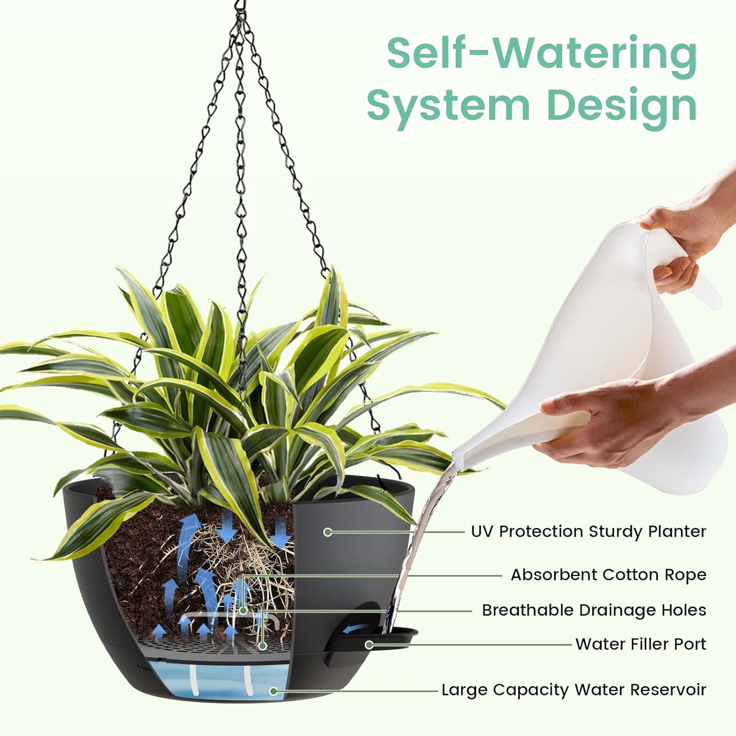 8 Inch Self Watering Hanging P - Spider Plant Hanging avaliação e preço