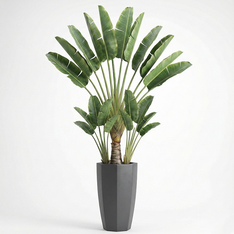 High-Simulation Plastic Fiddle - Ficus Lyrata Tree avaliação e preço