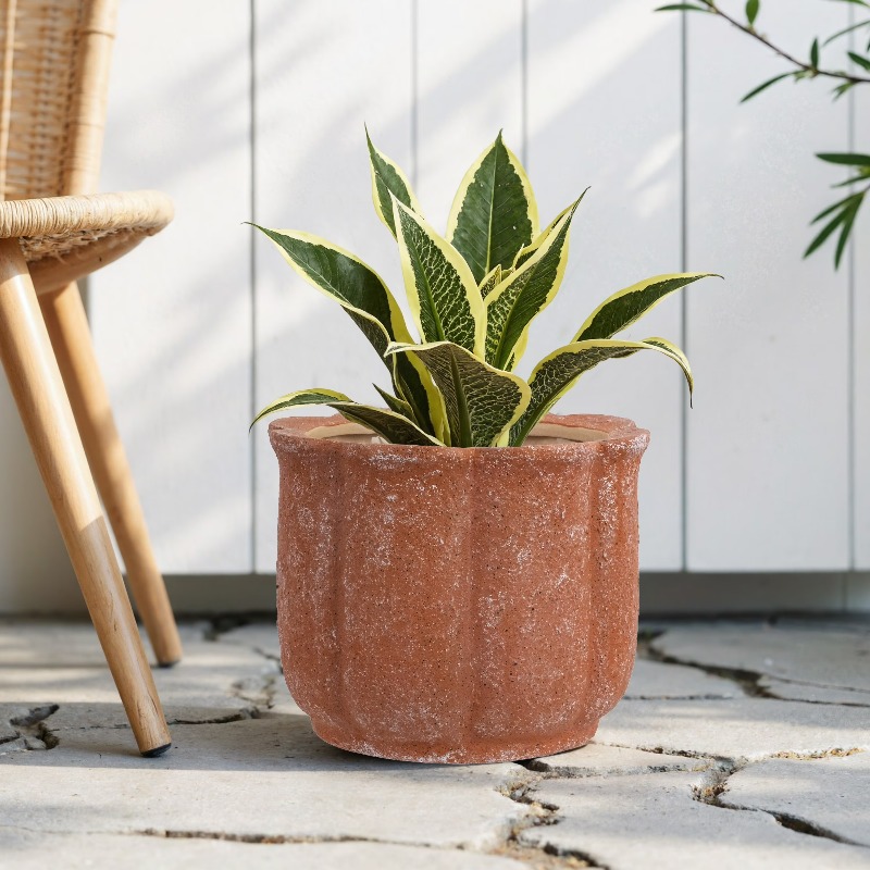 8in Terracotta Flower Planter  - Aloe Vera Pot avaliação e preço