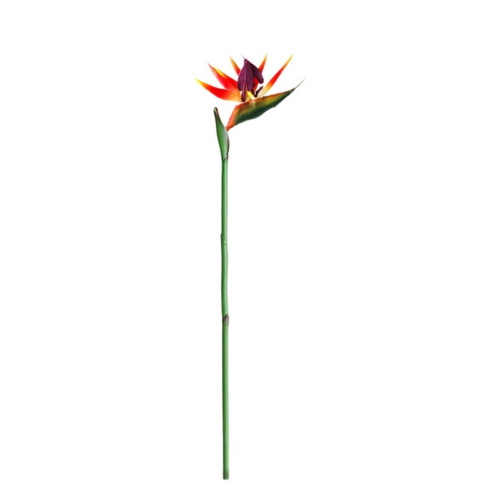 Long Stem Artificial Bird of P - Bird Paradise Strelitzia avaliação e preço