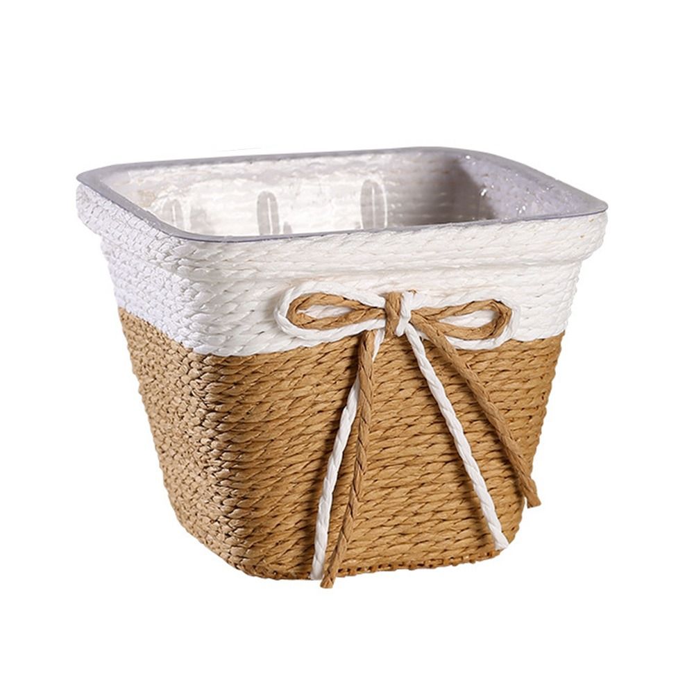 Paper Rope Braided Braided Flo - Aloe Vera Pot avaliação e preço