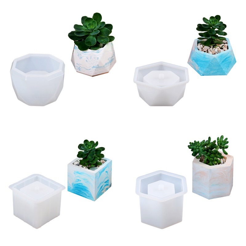 Succulent Flowerpot Silicone M - Echeveria Succulent avaliação e preço