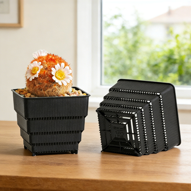 MESHPOT 6-Pack Square Pots for - Echeveria Succulent avaliação e preço