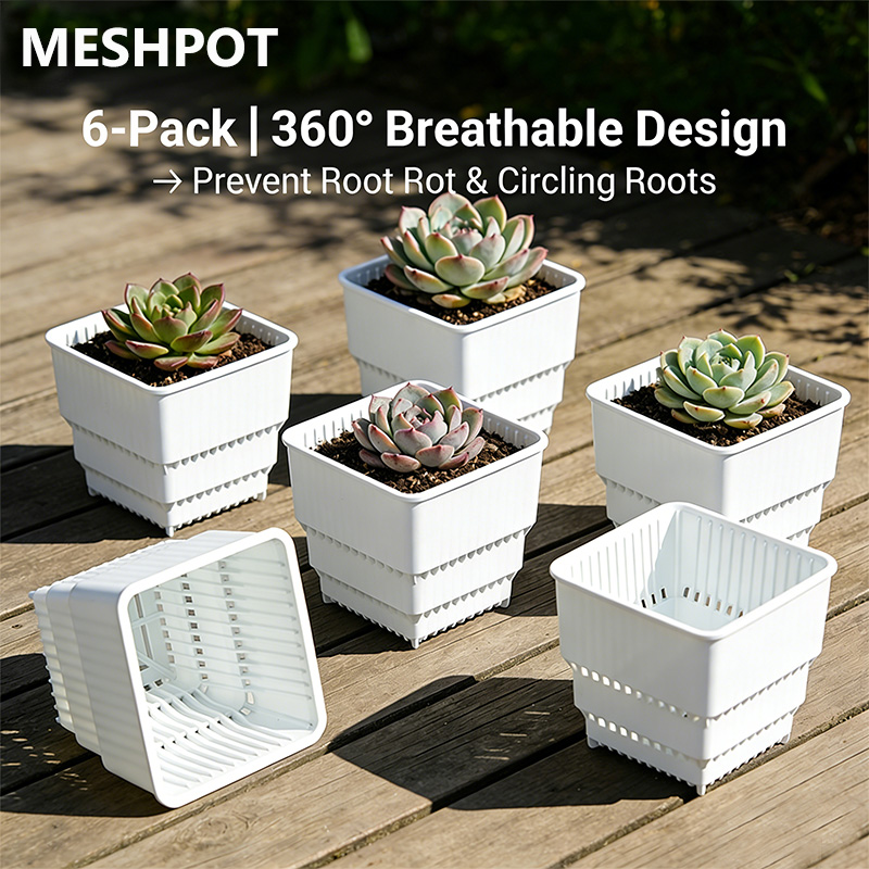 MESHPOT 6-Pack Square Pots for - Echeveria Succulent avaliação e preço