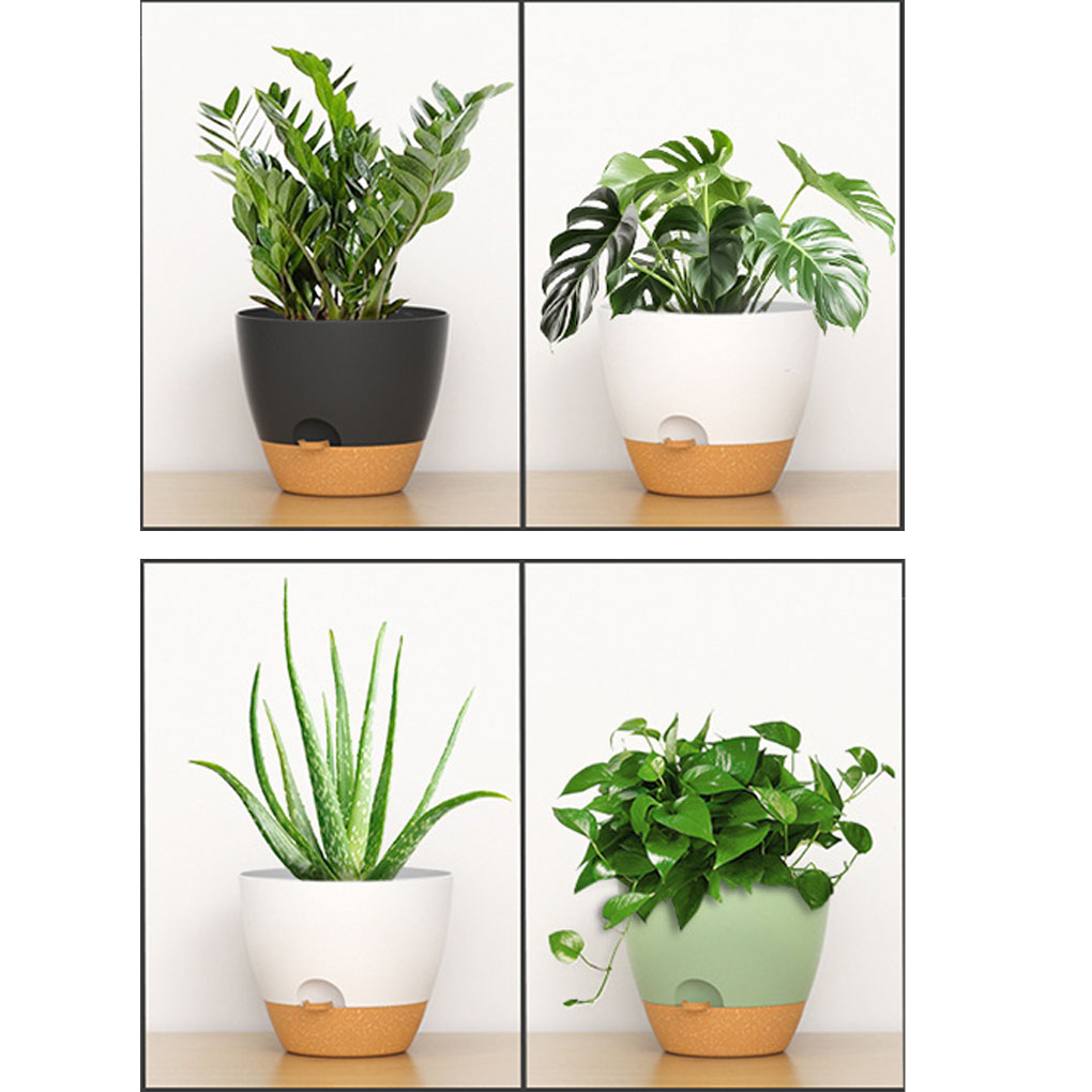 5piece Indoor Flower Pots With - Aloe Vera Pot avaliação e preço