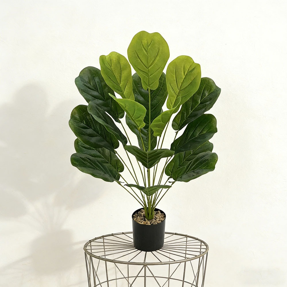 1pc of 75cm Artificial Ficus L - Ficus Lyrata Tree avaliação e preço