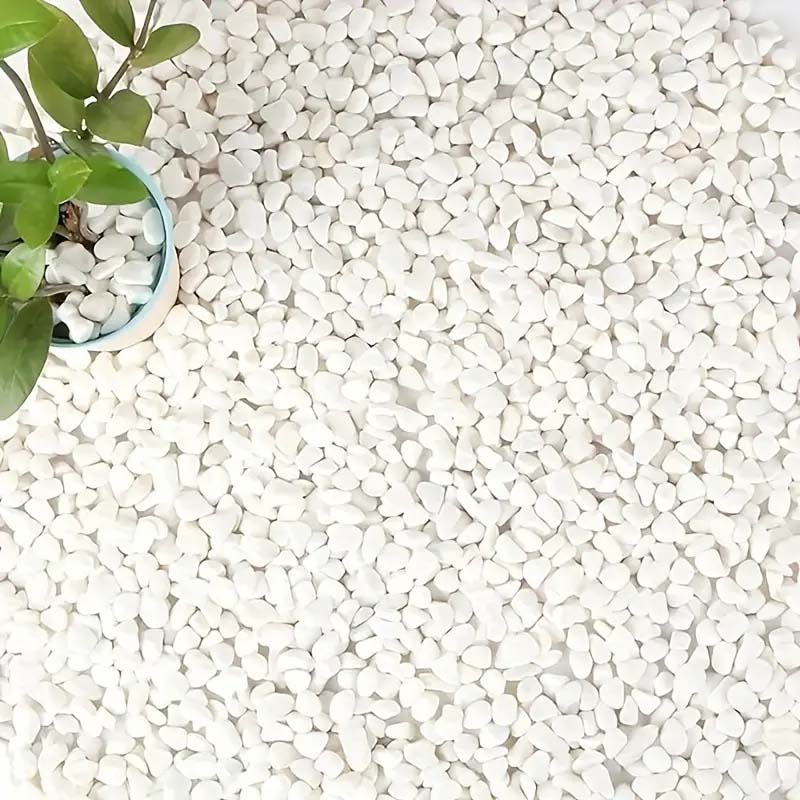 White Pebbles Decorative Stone - Echeveria Succulent avaliação e preço