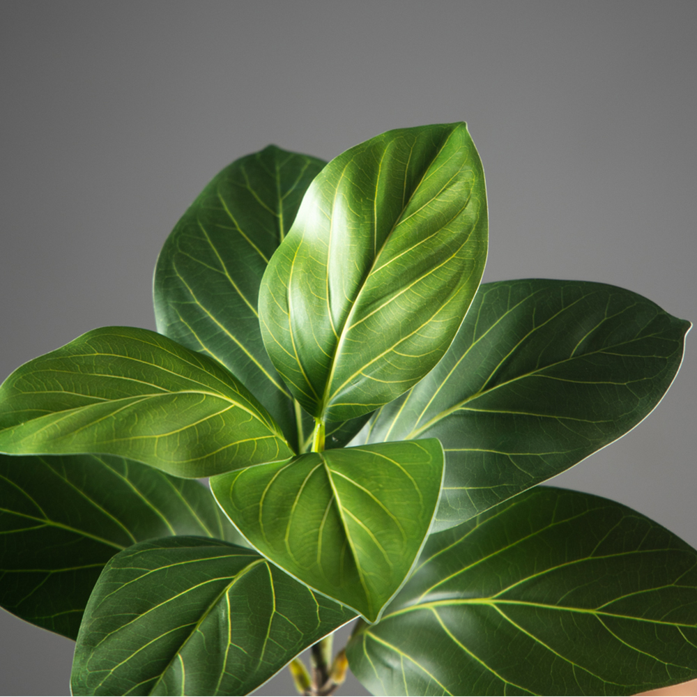 70-130cm Large Artificial Bany - Ficus Lyrata Tree avaliação e preço