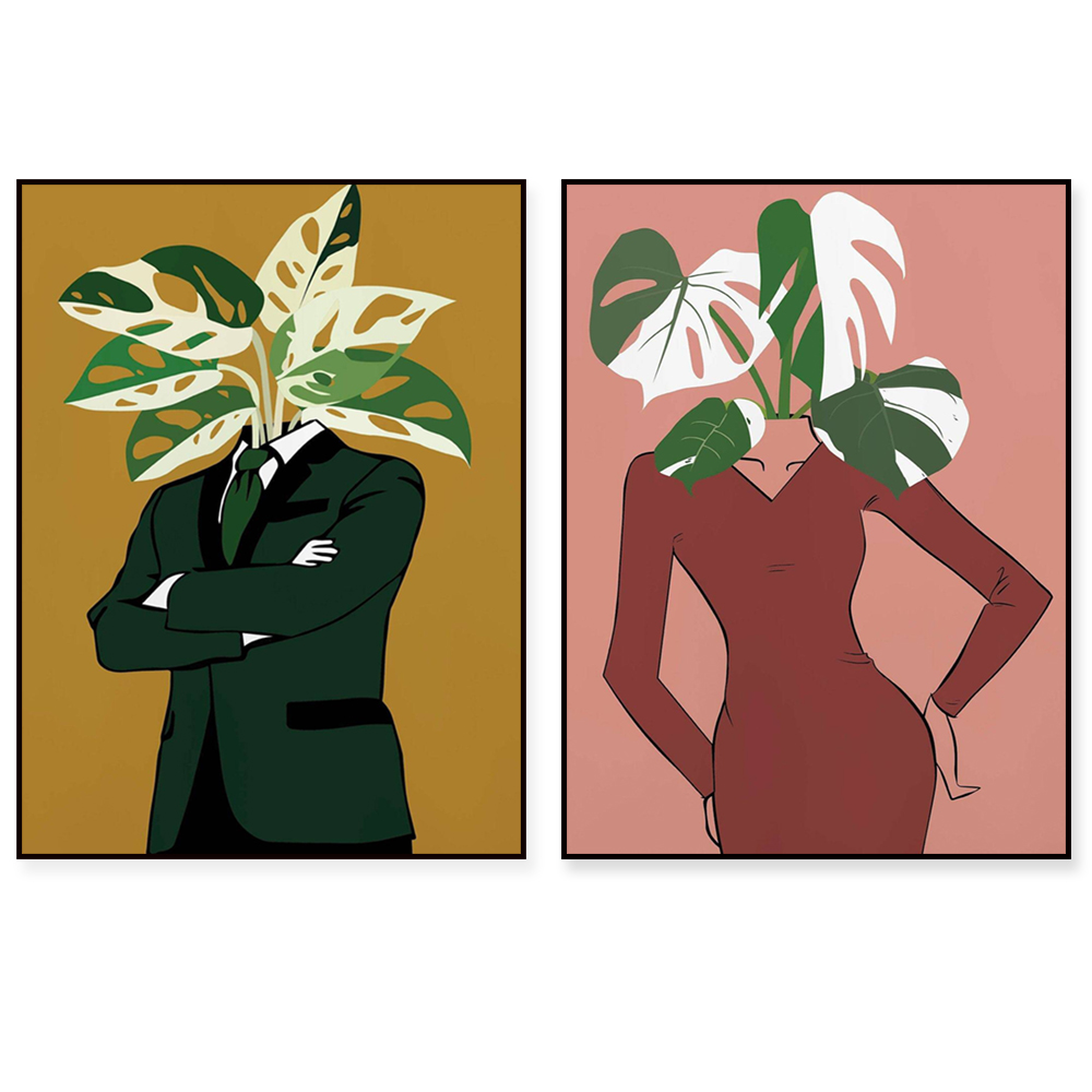 Monstera Albo in a burgundy dr - Monstera Adansonii avaliação e preço