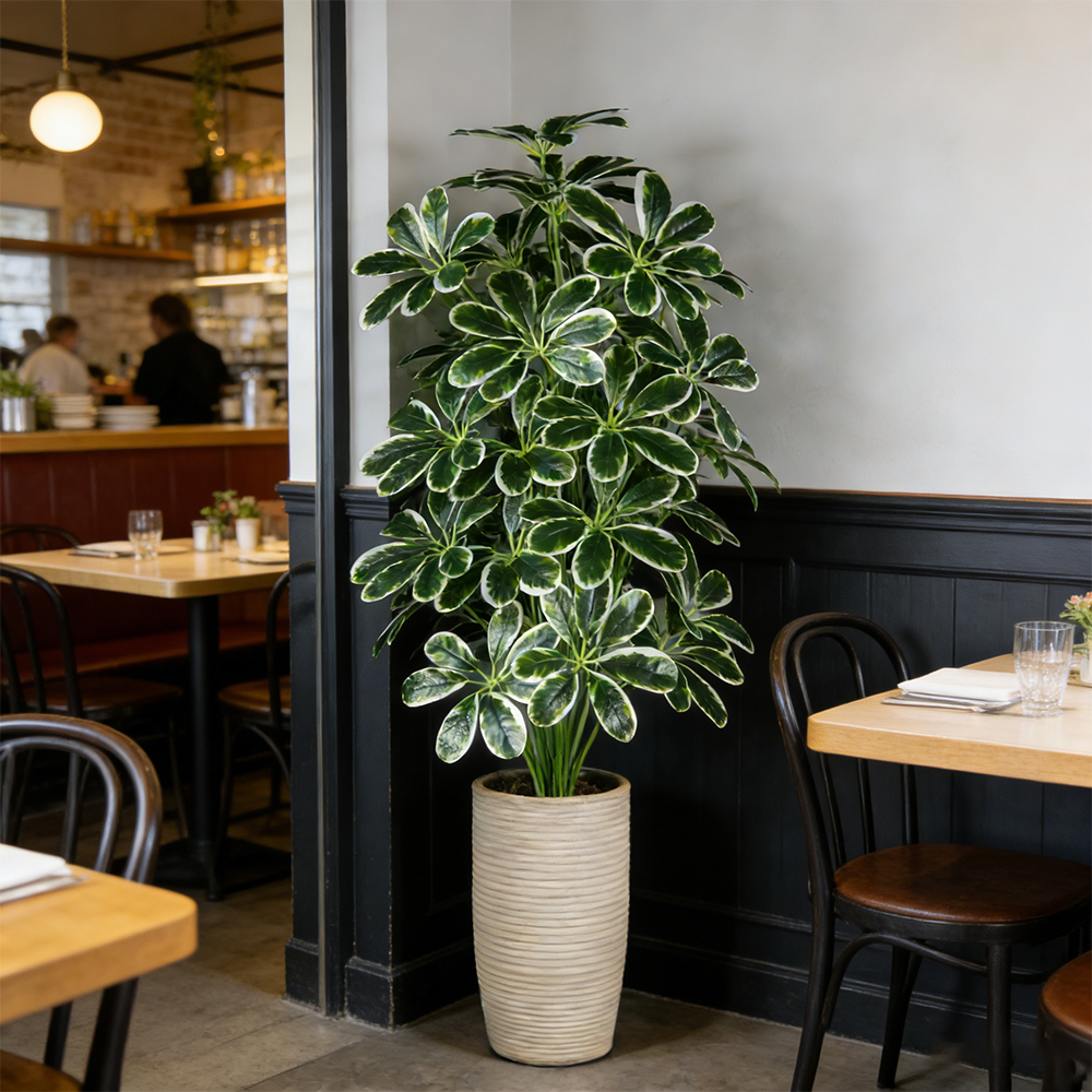 50-75cm Artifficial Maranta Pl - Dracaena Marginata avaliação e preço