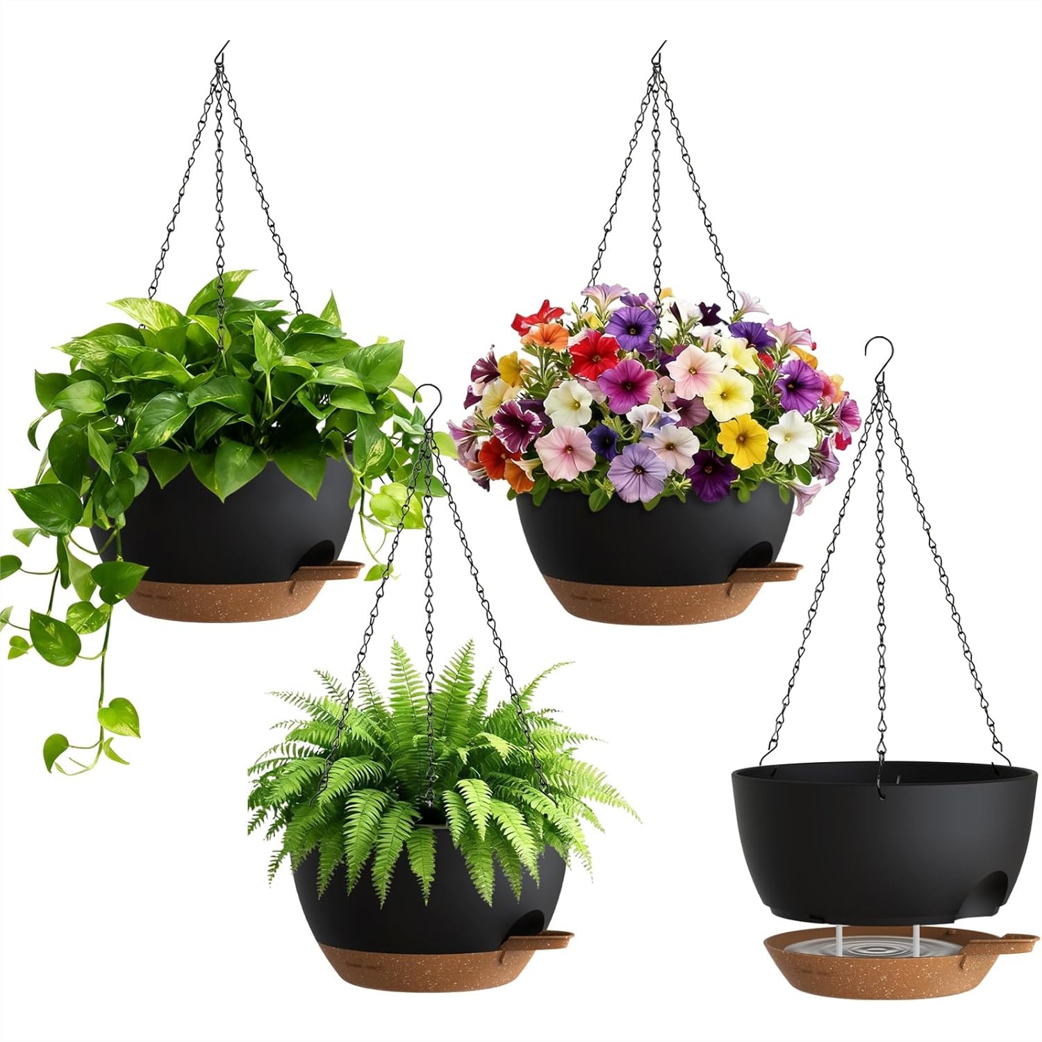 Self Watering Hanging Planters - Spider Plant Hanging avaliação e preço