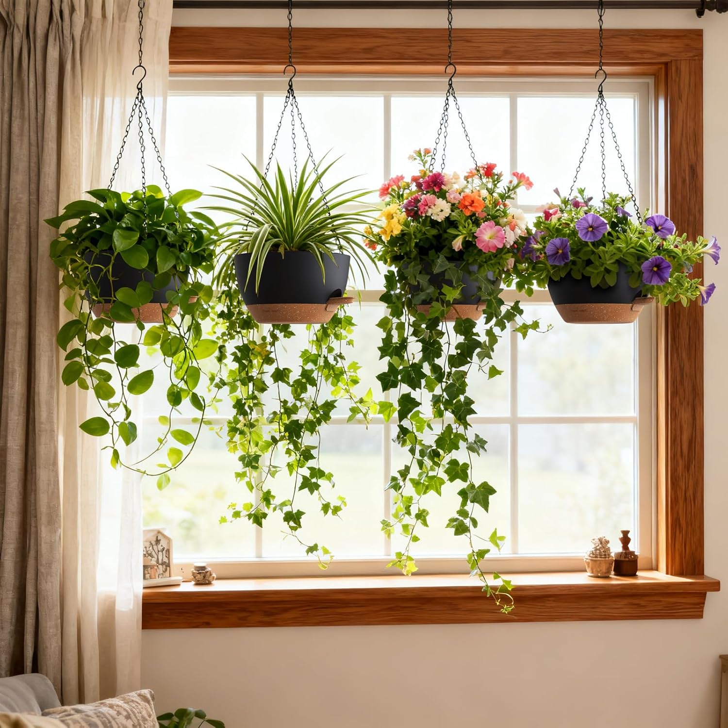 Self Watering Hanging Planters - Spider Plant Hanging avaliação e preço