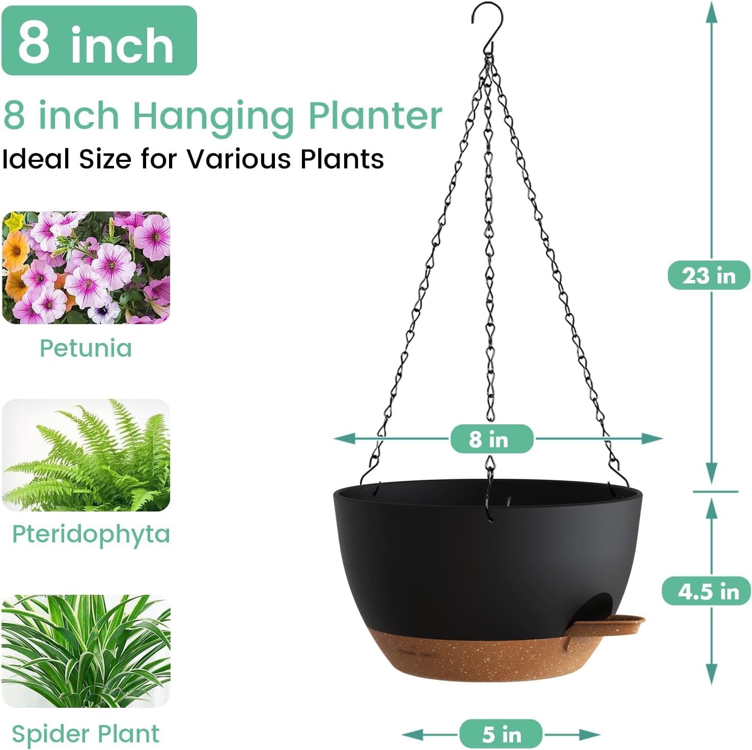 Self Watering Hanging Planters - Spider Plant Hanging avaliação e preço
