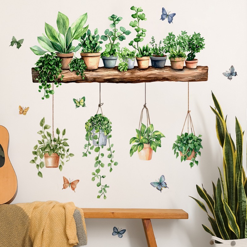3D Potted Green Plant Shelf Wa - Echeveria Succulent avaliação e preço