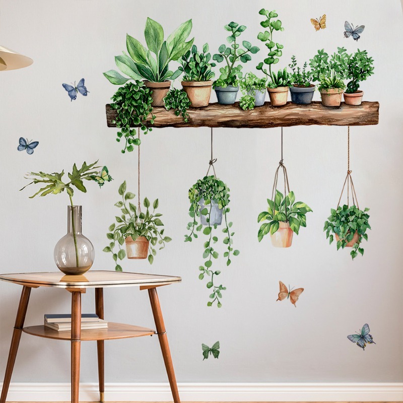 3D Potted Green Plant Shelf Wa - Echeveria Succulent avaliação e preço