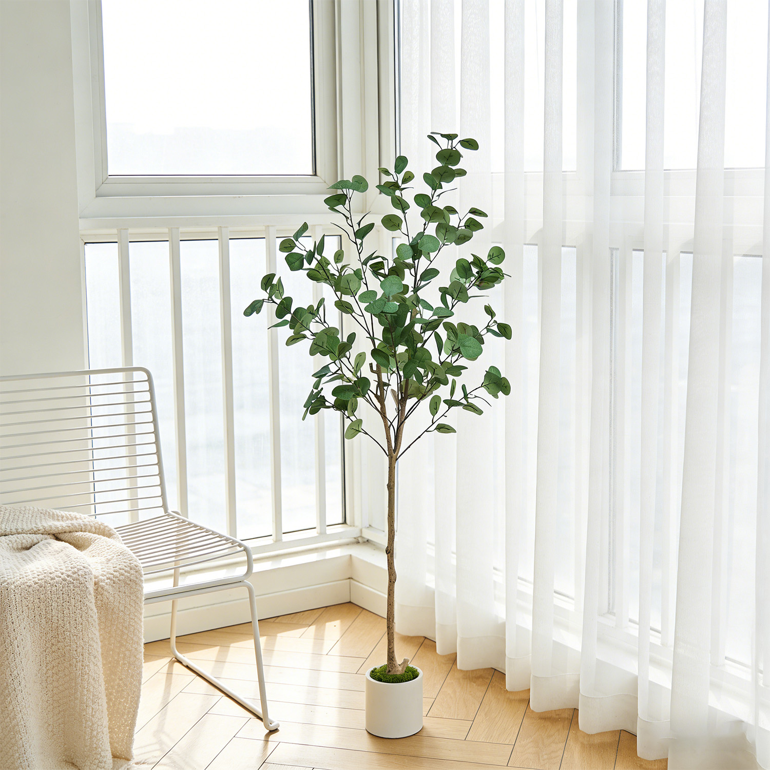 120-155Cm/5.1Ft Artificial Euc - Dracaena Marginata avaliação e preço