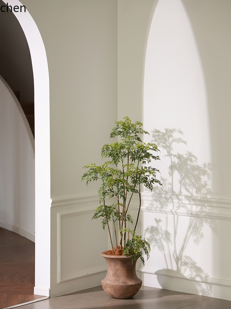 LYY  Floor Vase Green Plant Ar - Ficus Lyrata Tree avaliação e preço