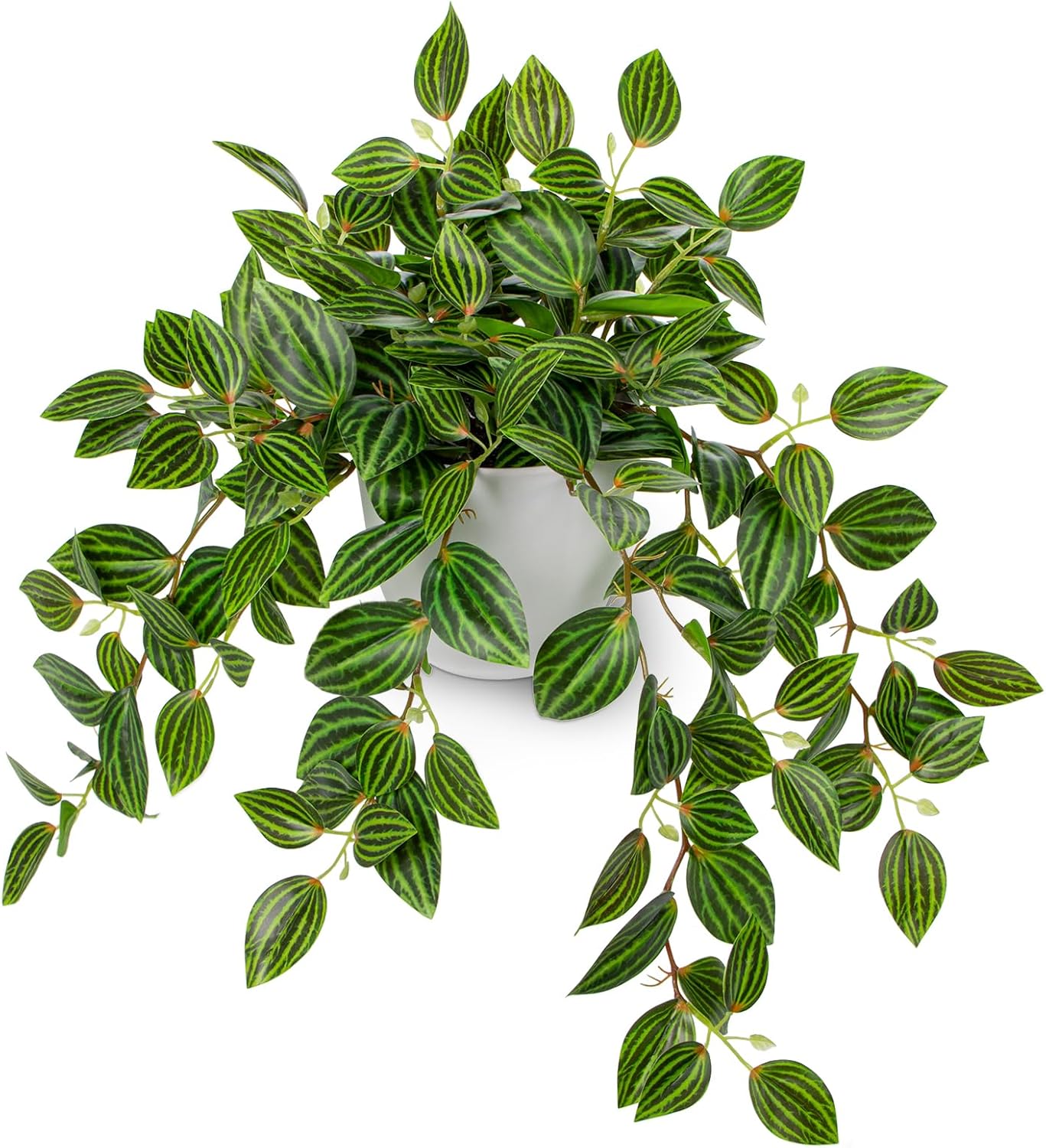 Artificial Plants Indoor Fake  - Peperomia Watermelon avaliação e preço